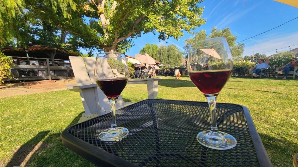 Pros and Cons of Living in Temecula Wine Country 001