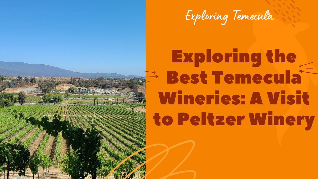Exploring the Best Temecula Wineries A Visit to Peltzer Winery