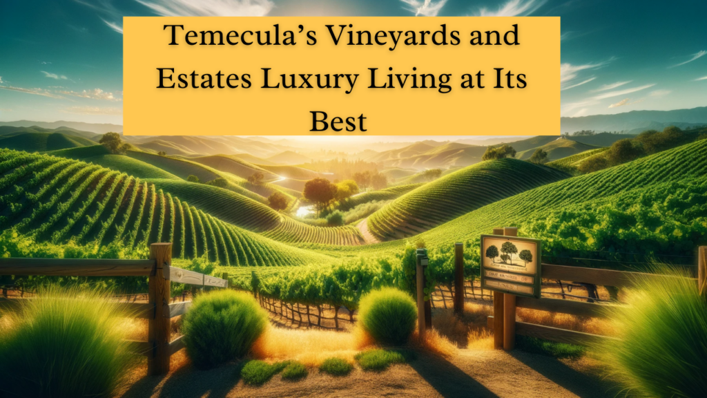 Temecula’s Vineyards and Estates Luxury Living at Its Best (2)